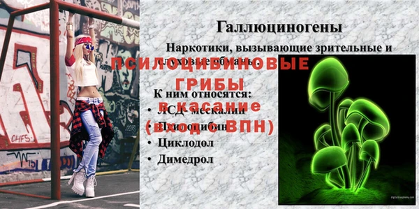 молекула духа Армянск