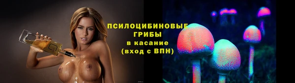 a pvp Аркадак