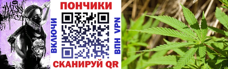 Каннабис MAZAR  где найти наркотики  Прохладный 
